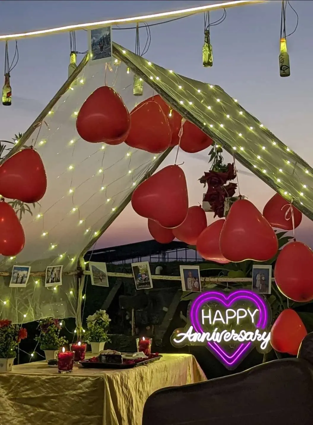 Anniversary 49