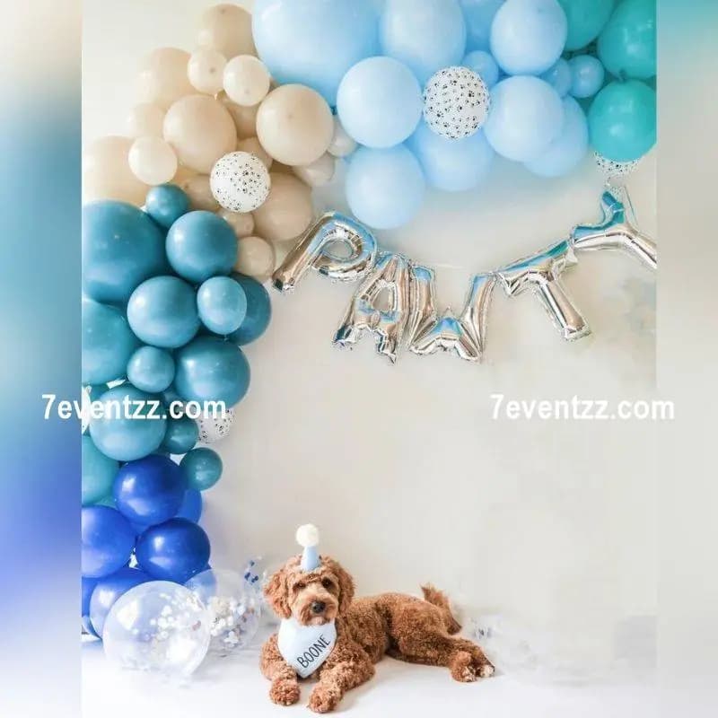 Dog Birthday Balloon Setup